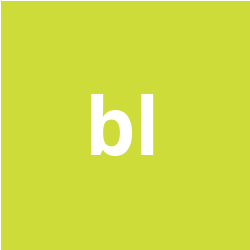 B.L. Harbert International